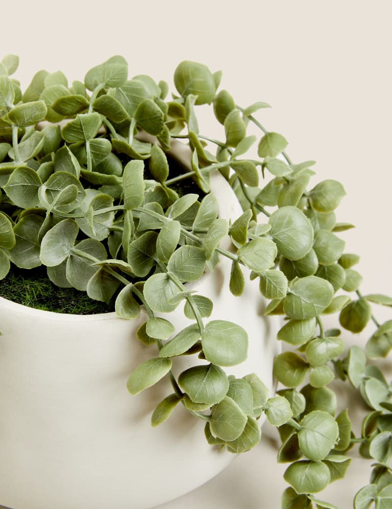 Artificial Trailing String of Hearts Plant Moss Sweetpea M S