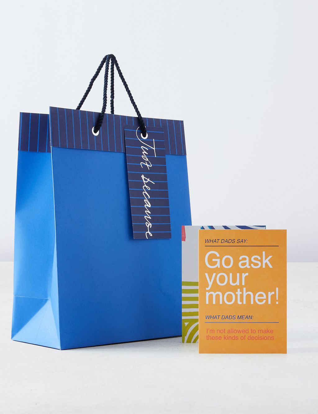 Ask Your Mother Father’s Day Card & Blue Gift Bag Duo 3 of 4