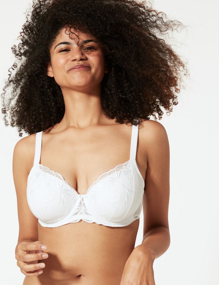 Athena Embroidered Padded Full Cup Bra A-E 1 of 6