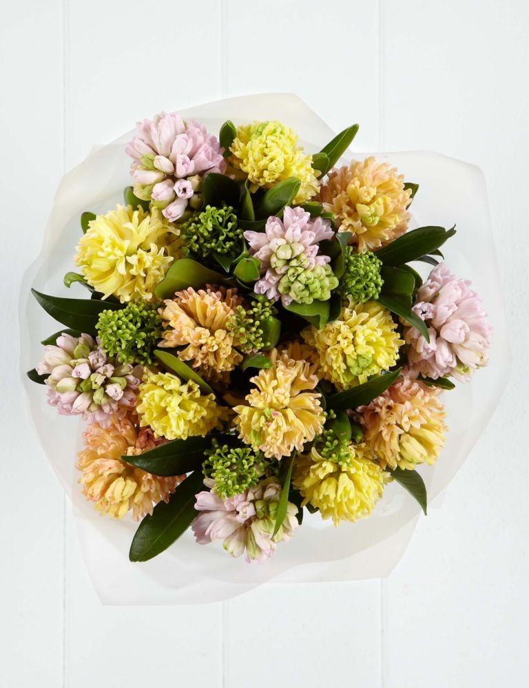 Autograph™ Speciality Hyacinths 2 of 2