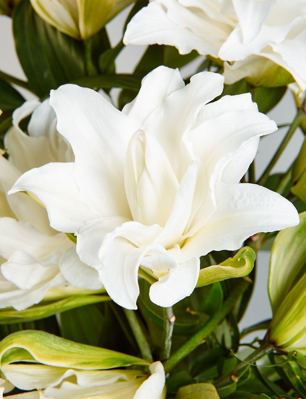 Autograph™ White Double Lilies 4 of 4