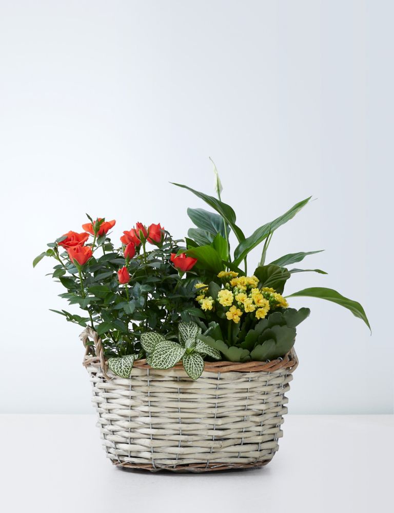 Autumn Flowering Basket 2 of 6