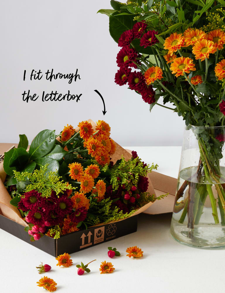 Autumn Seasonal Letterbox Flowers M S