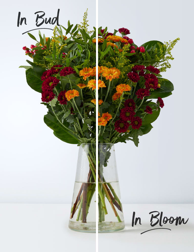 M&s letterbox flowers sale