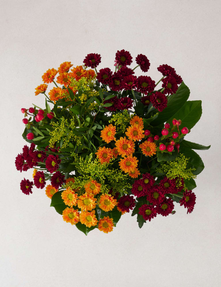 M&s letterbox flowers sale