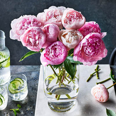 A vase of British peonies