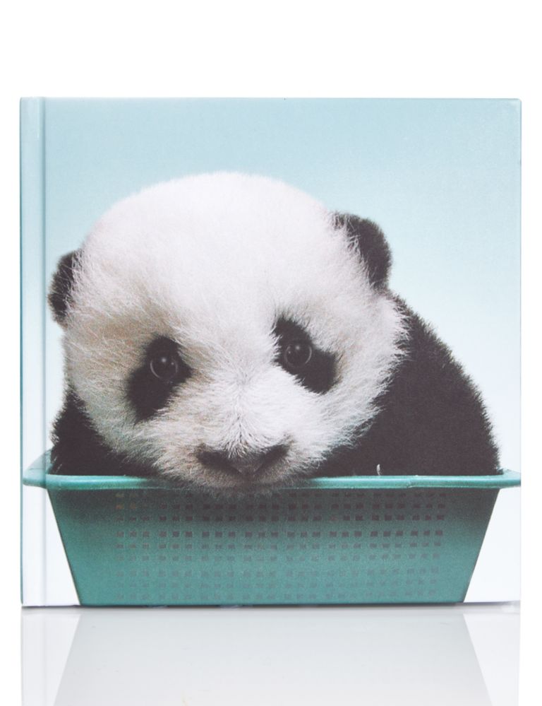 Baby Panda Address & Special Events Book 1 of 3