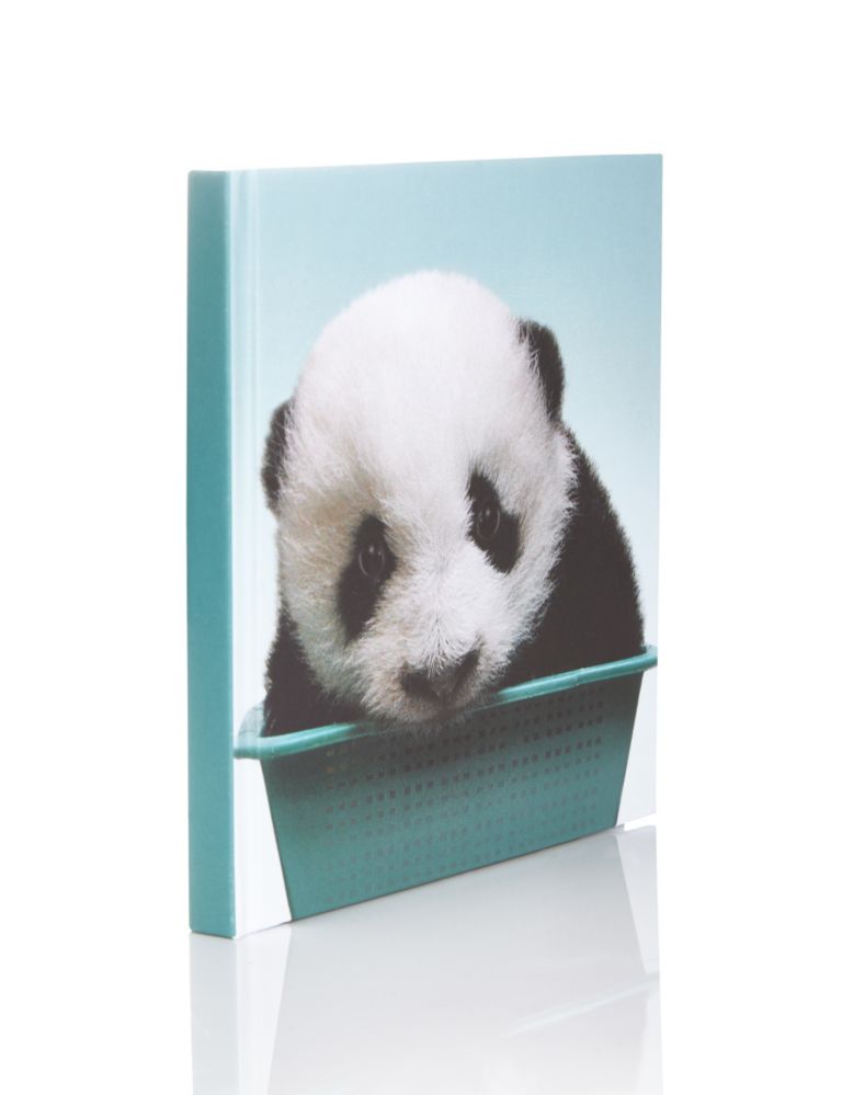 Baby Panda Address & Special Events Book 2 of 3