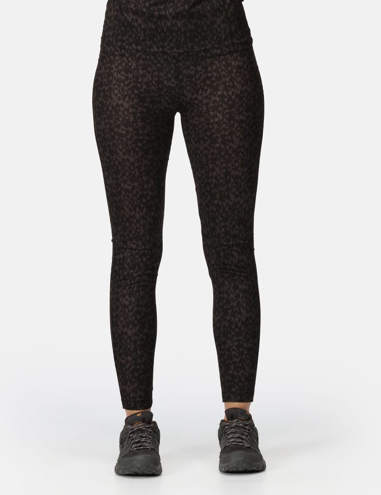 Buy Bronze Animal Print Sequin Leggings (3-16yrs) from Next Denmark