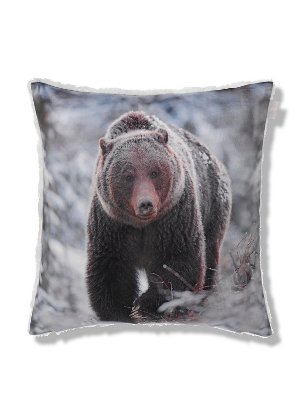 Bear Print Cushion Image 1 of 2