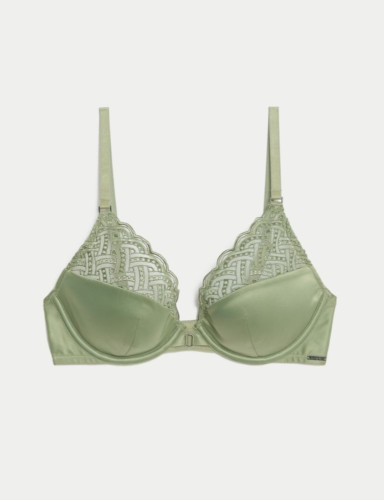 Belize Embroidery Wired Plunge Bra A-E 2 of 7