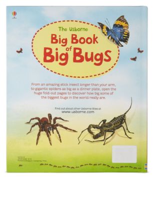 Big Book of Big Bugs Image 2 of 3