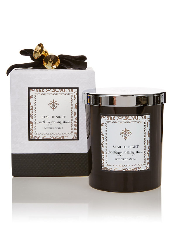 Blackberry & Winter Woods Candle Image 1 of 2