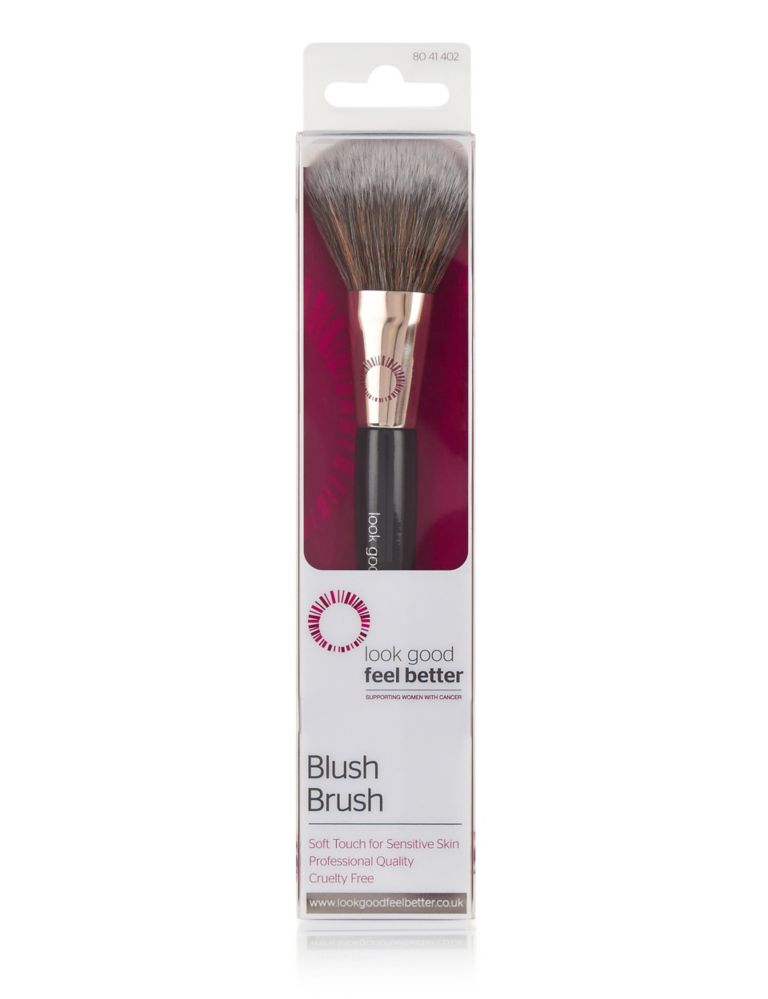 Blush Brush 1 of 2