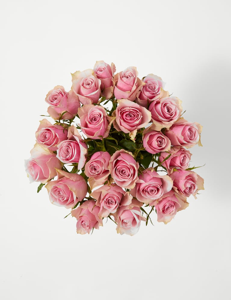 Rose tasty clothes best sale reviews