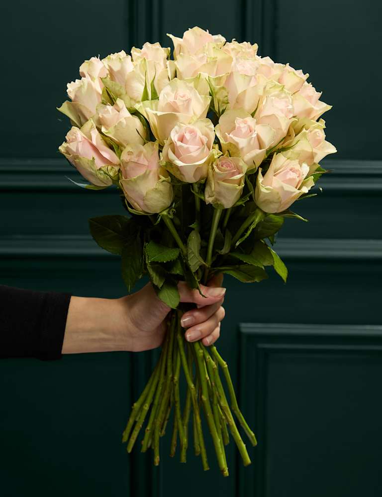 Blush Rose Abundance Bouquet 1 of 5