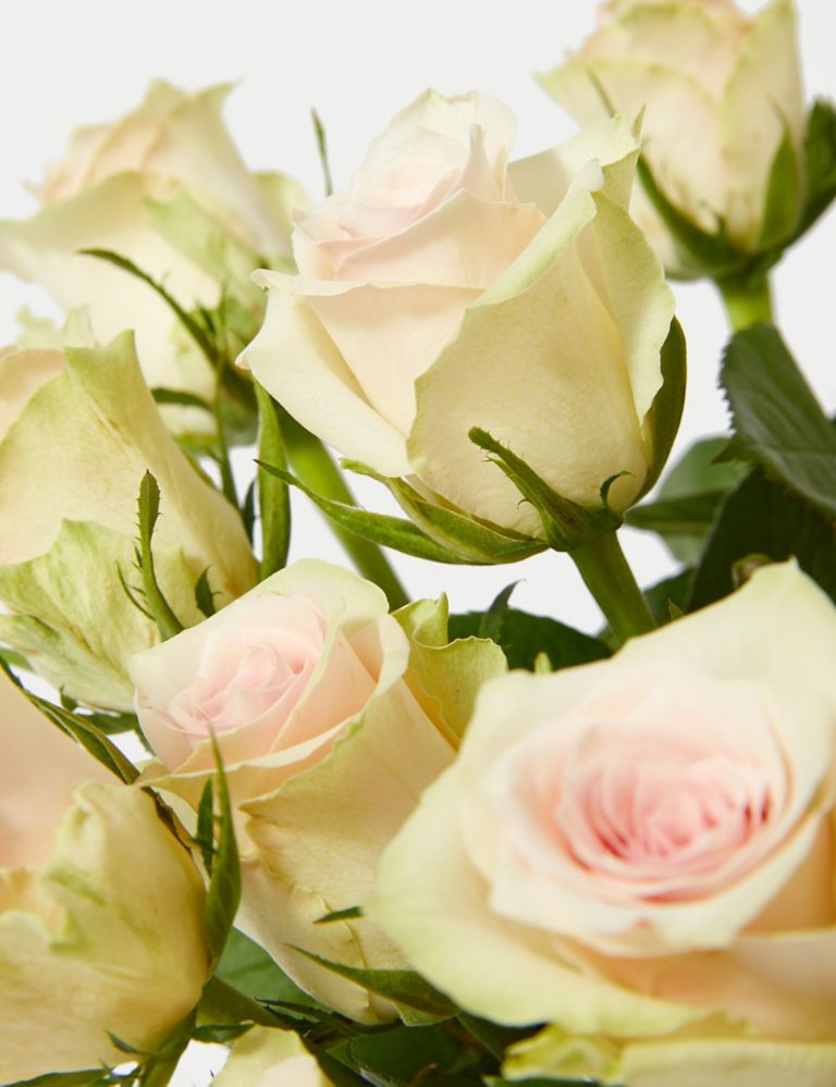Blush Rose Abundance with Caramel Collection & Prosecco 4 of 6