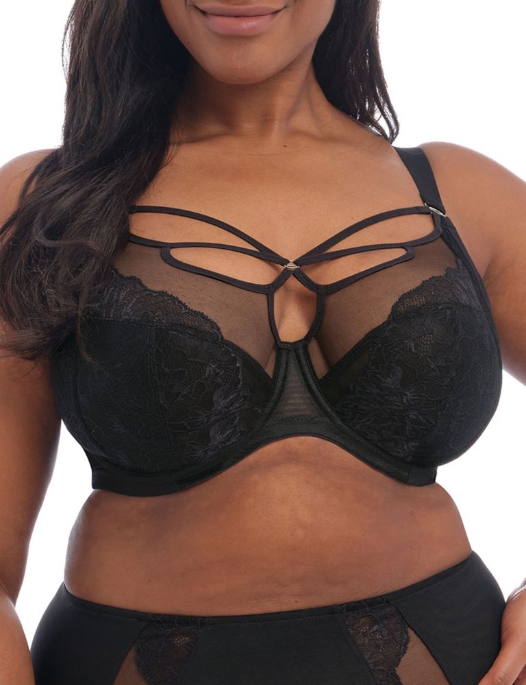 Elomi Women's Plus Size Brianna Underwire Strappy Plunge Bra, Ash Rose, 38GG  : : Clothing, Shoes & Accessories