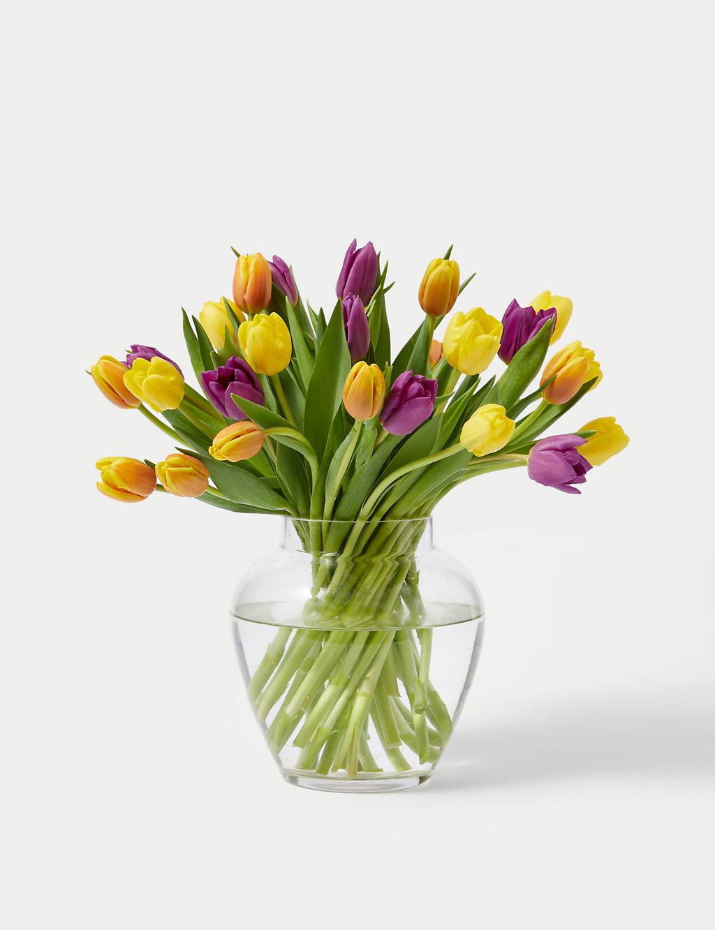 Bright & Beautiful Tulips 2 of 5