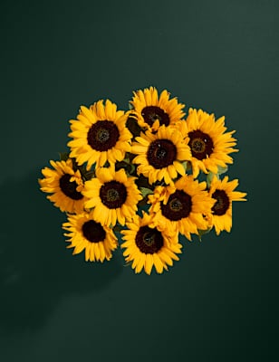 the new society DAISY FLOWER BLOUSE 4y www.pegasusforkids.com