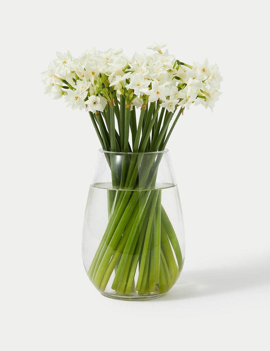British Sweetly Scented Narcissi Bouquet (Delivery from 12th December 2023) 2 of 5