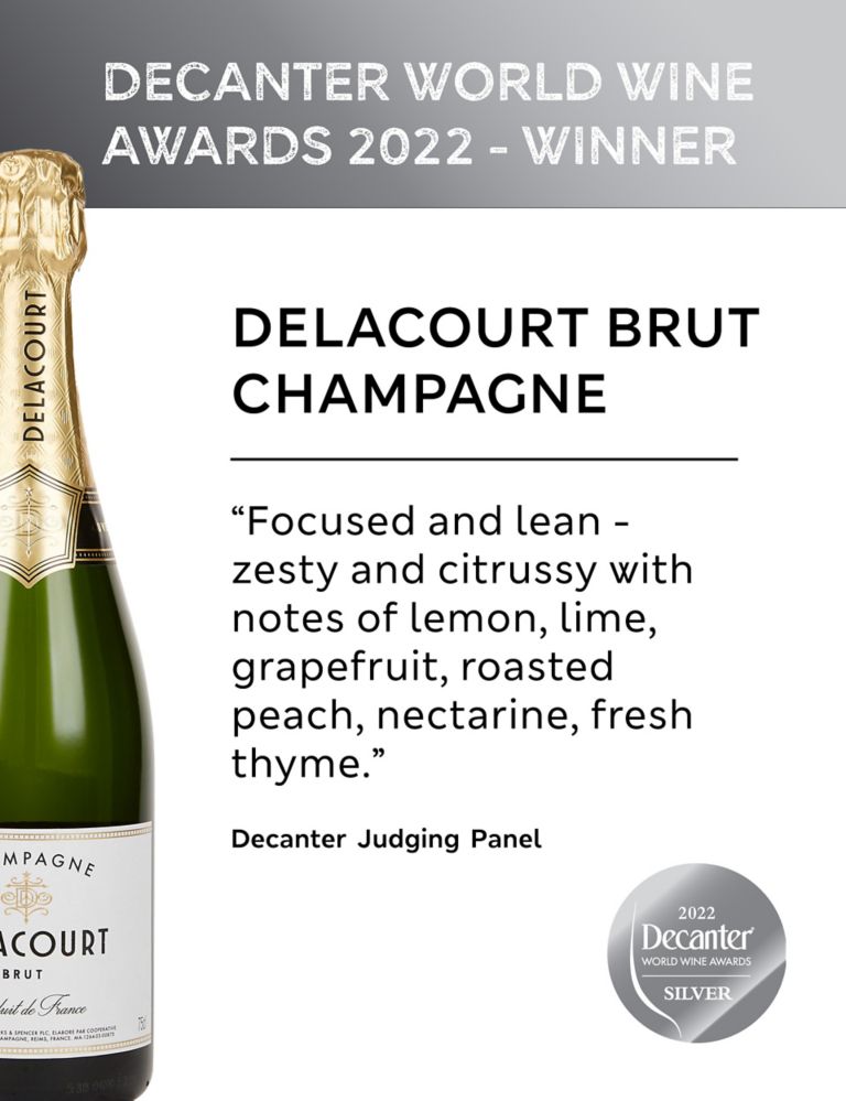 Brut Champagne - Case of 6 2 of 2