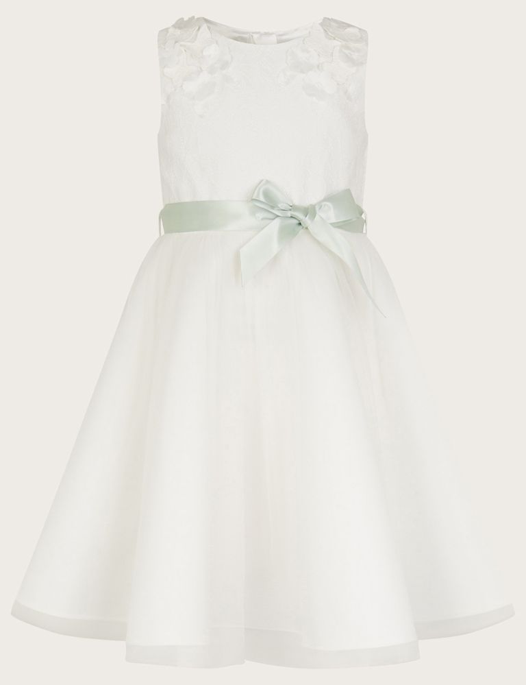 Butterfly Embellished Occasion Dress (3-13 Yrs) 1 of 3