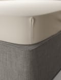 Egyptian Cotton 230 Thread Count Fitted Sheet