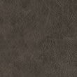 charcoal colour option