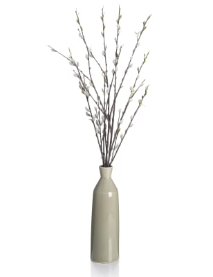 Pussy Willow In Tall Ceramic Vase M S