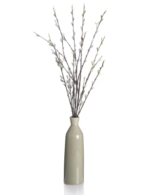 pussy willow in vase