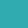 3pk Lace & Mesh High Waisted Brazilian Knickers - turquoisemix