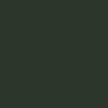Set of 4 Pom Pom Placemats - darkgreen
