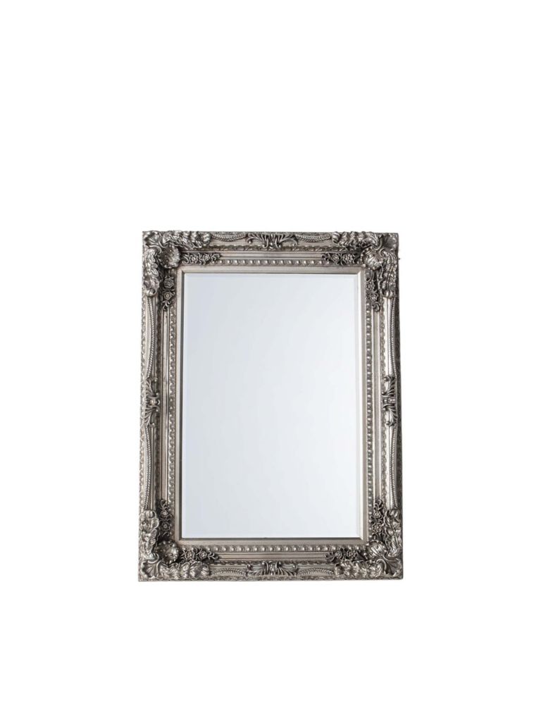Carved Louis Extra Large Wall Mirror 4 of 4