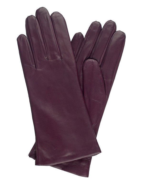 Cashmere Lined Leather Gloves Image 1 of 1