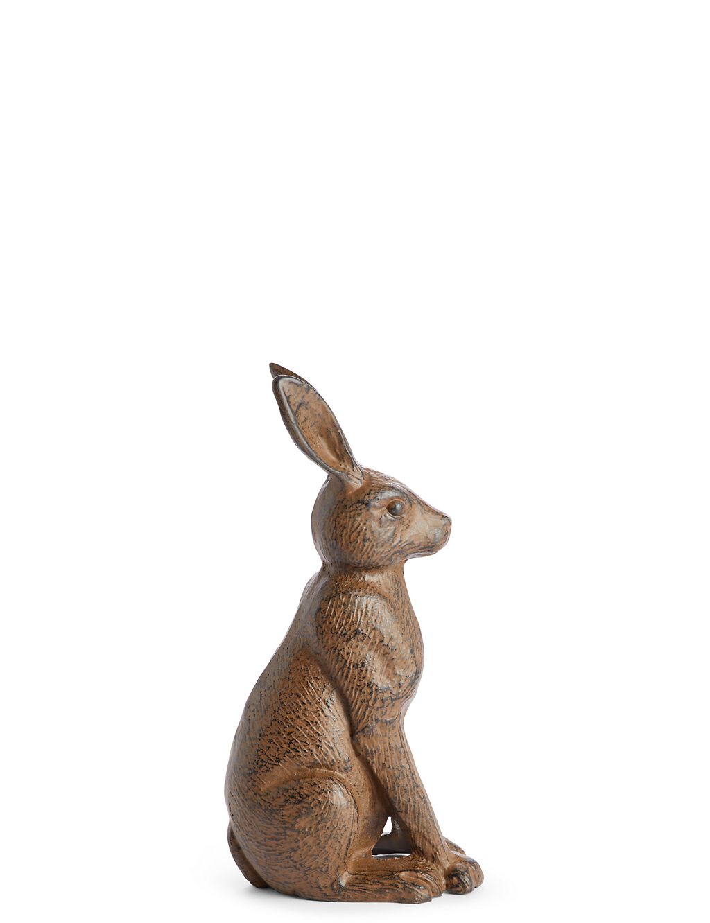 Cast Iron Hare 1 of 4