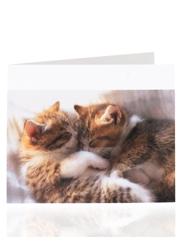Cats Cuddling Blank Card Image 1 of 1
