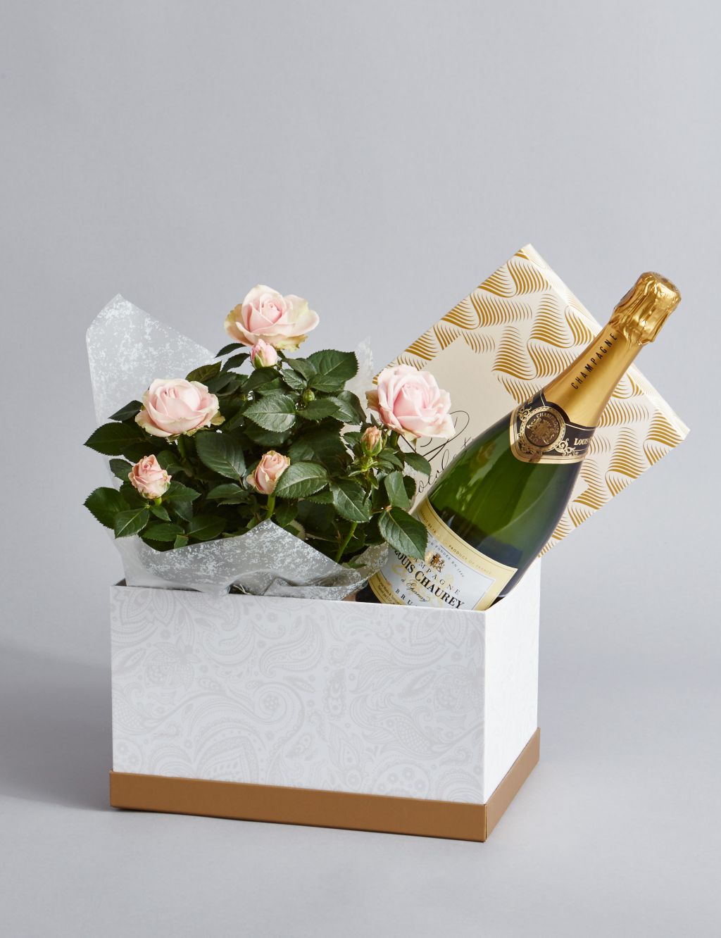 Champagne, Rose Plant & Swiss Chocolate Hamper (Available until 2nd May) 3 of 6