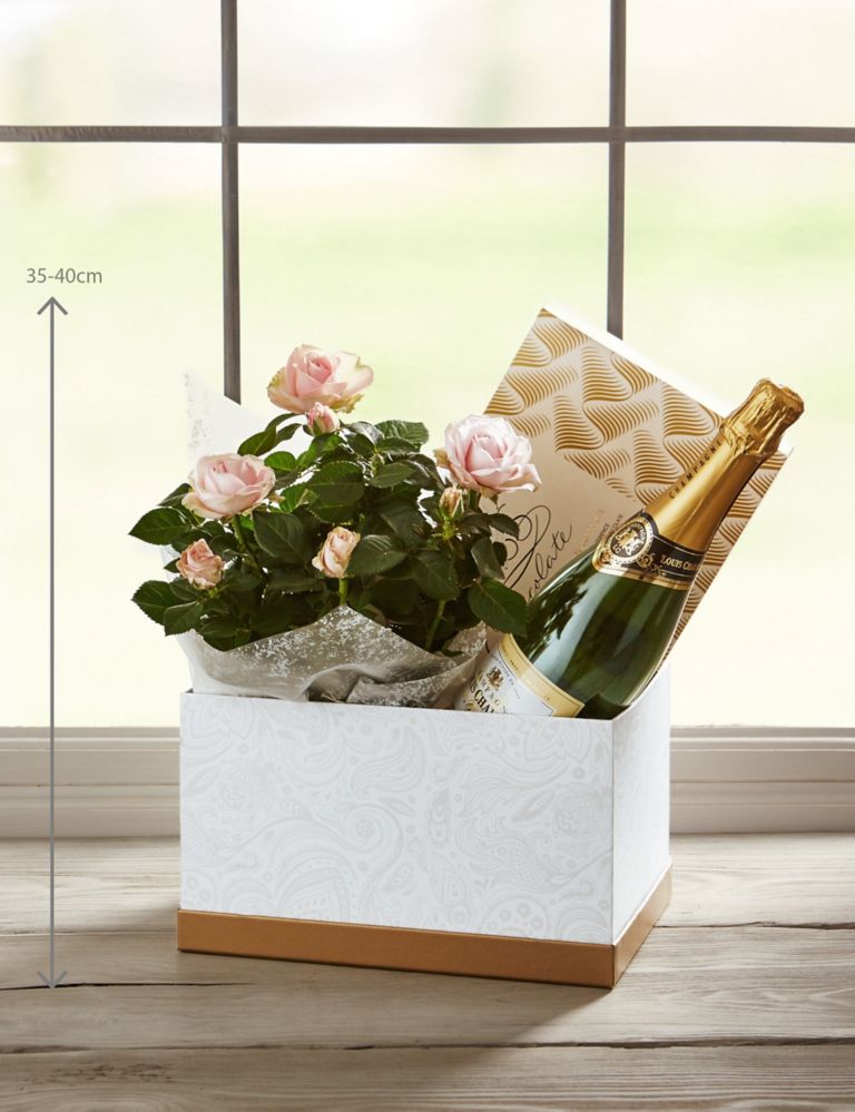 Champagne, Rose Plant & Swiss Chocolate Hamper (Available until 2nd May) 3 of 6