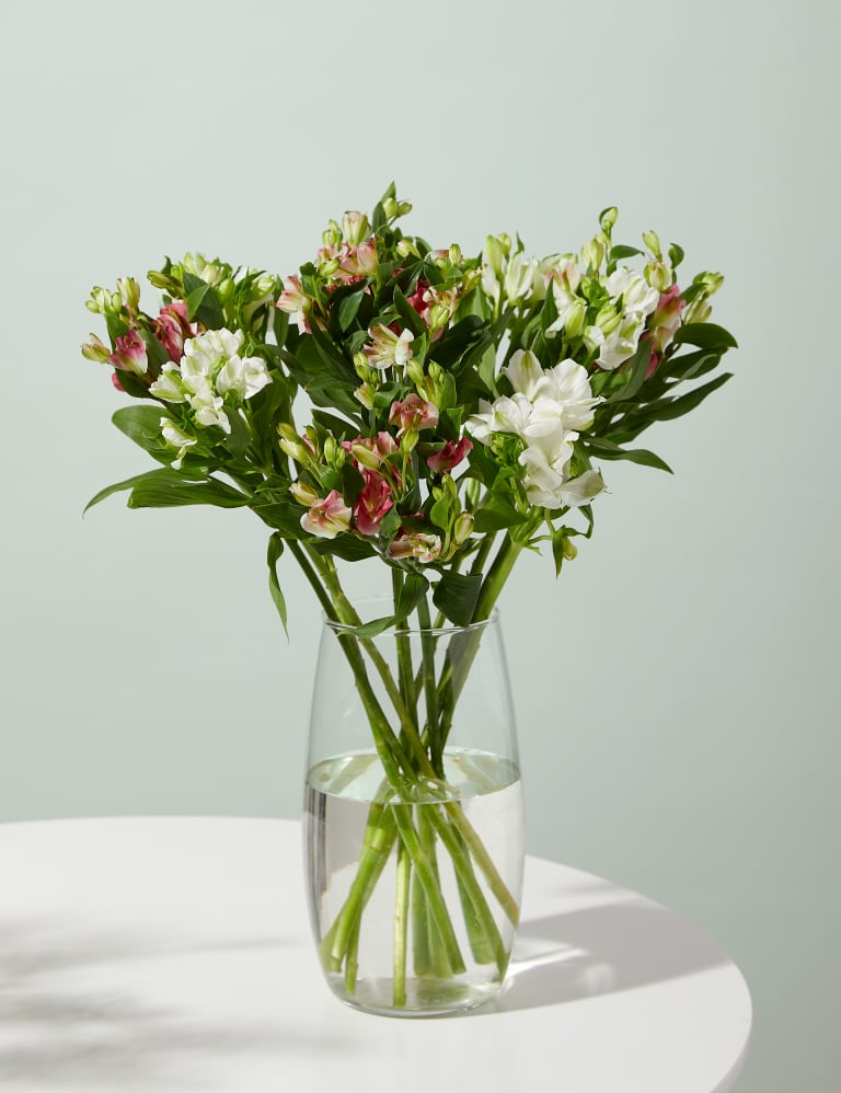 Charmelia Alstroemeria Bouquet 1 of 5