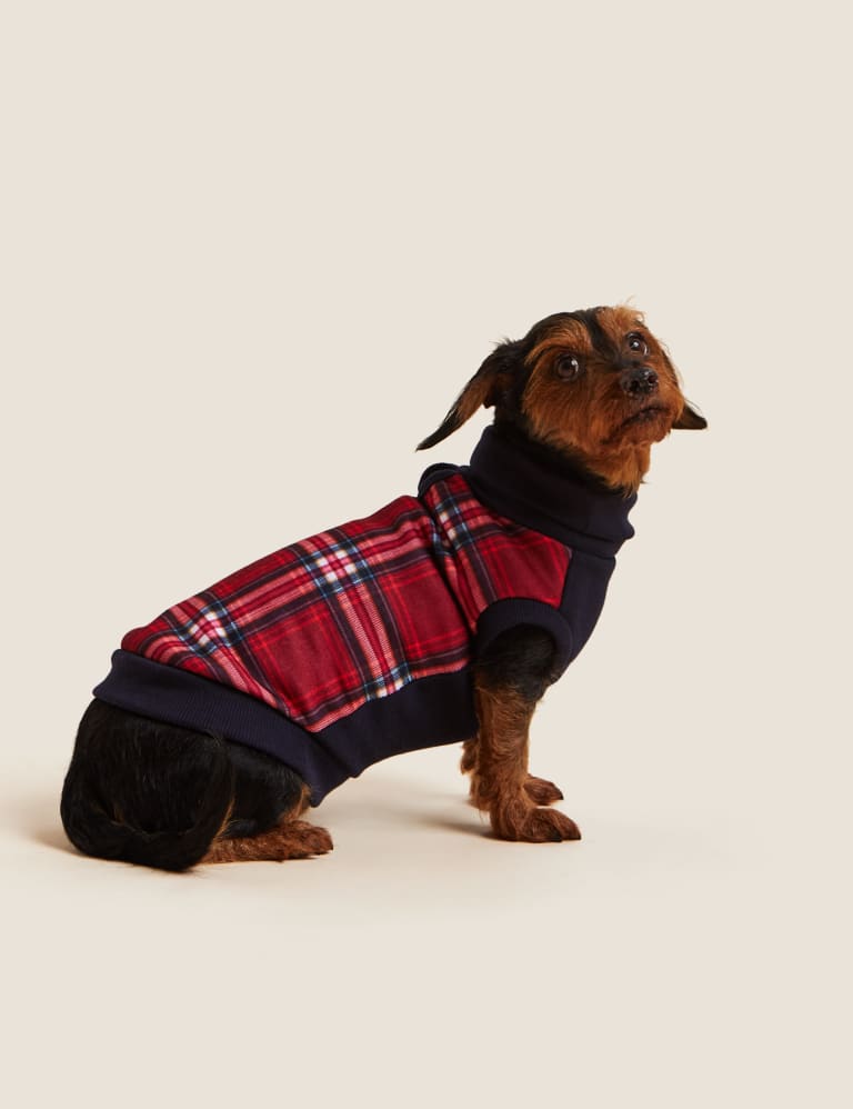 Check Dog Jumper M S