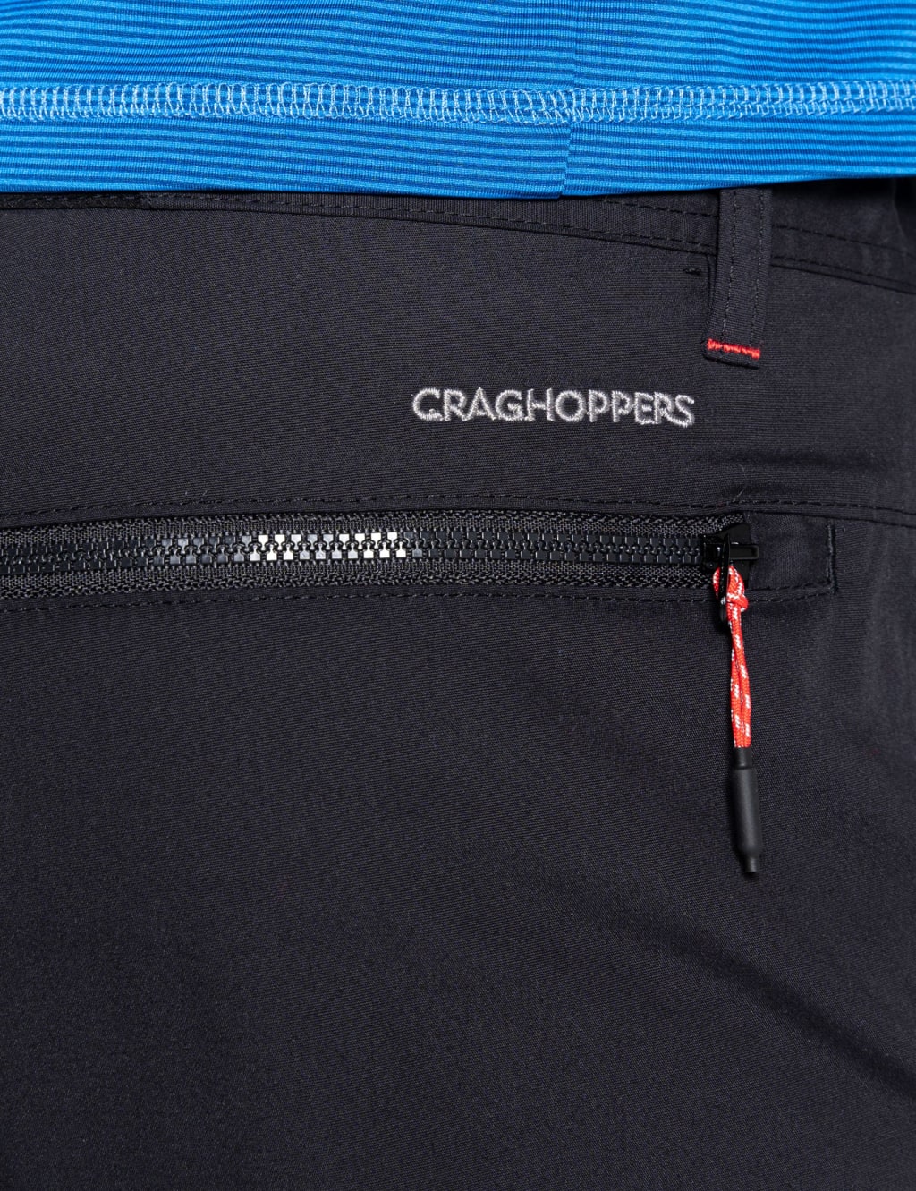Chino Shorts 5 of 8