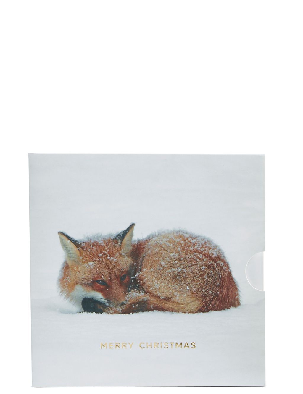 Christmas Fox Gift Card 3 of 5