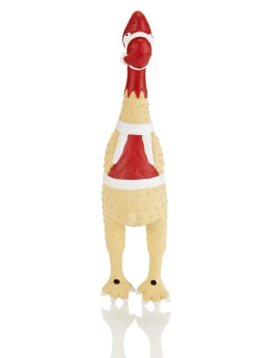 Rubber turkey 2025 dog toy