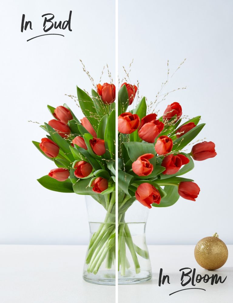 Christmas Tulip Bouquet – 25% Extra free stems 3 of 7