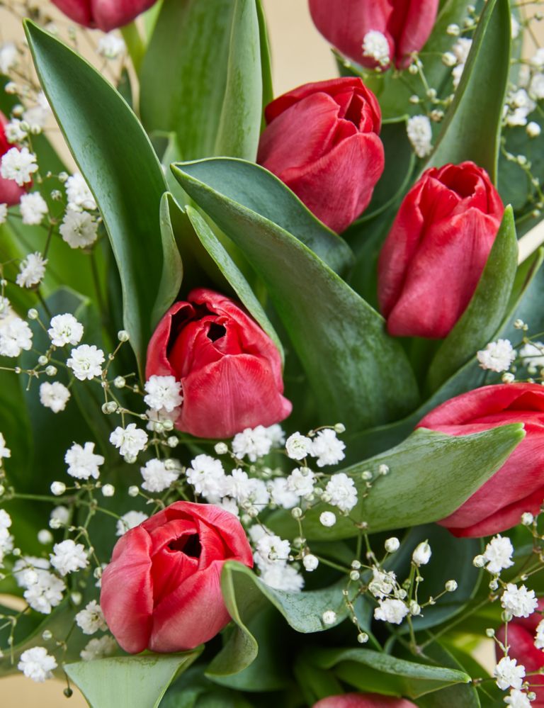 Christmas Tulip Bouquet – 25% Extra free stems 6 of 7