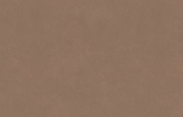 Classic Leather x1 M Image 1 of 1