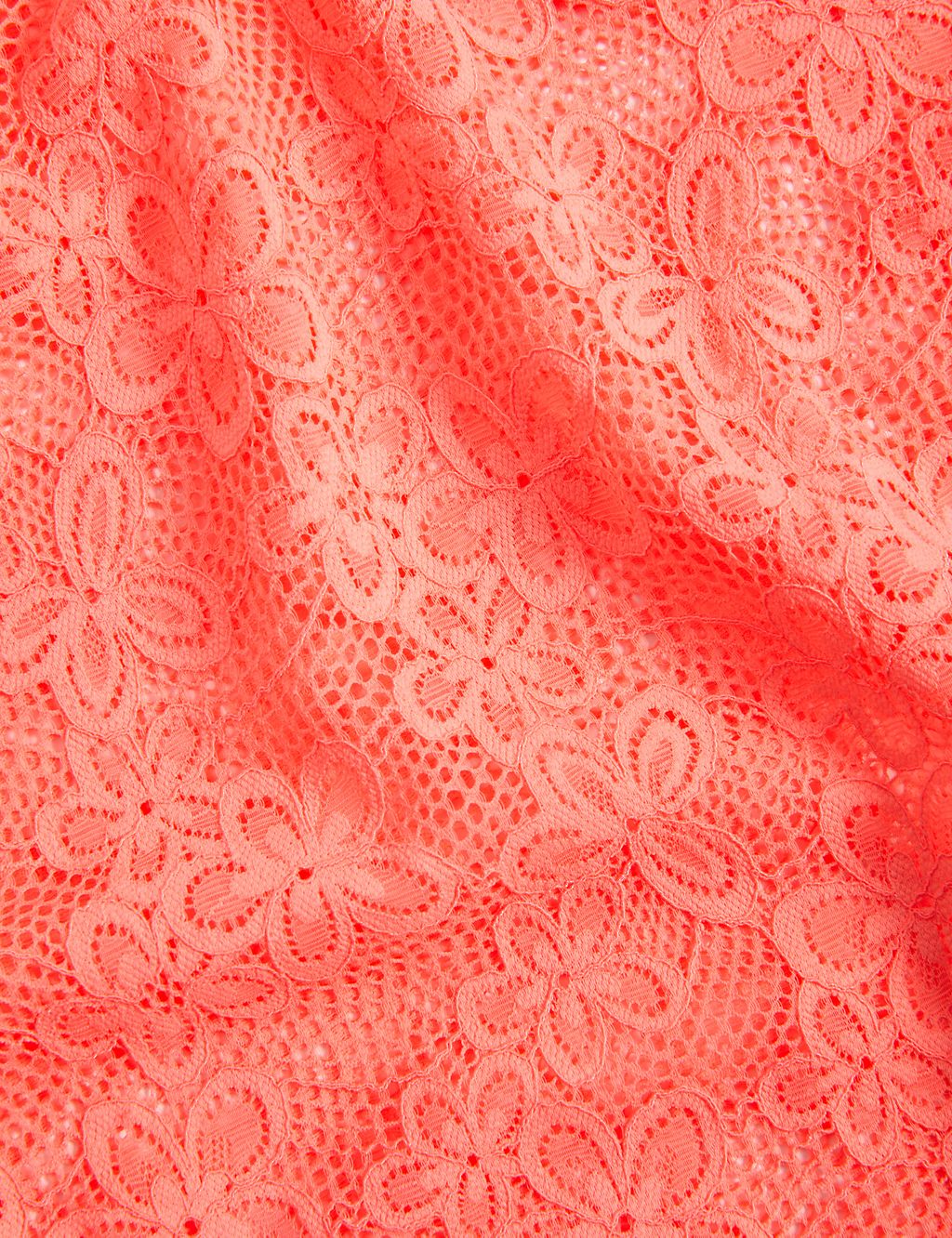 Cleo Lace Body 6 of 6