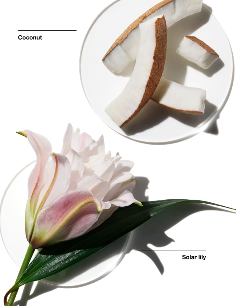 Clinique cookies and kisses perfume best sale