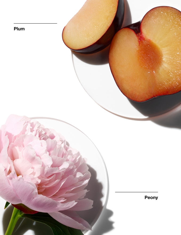 Clinique peony picnic cheap